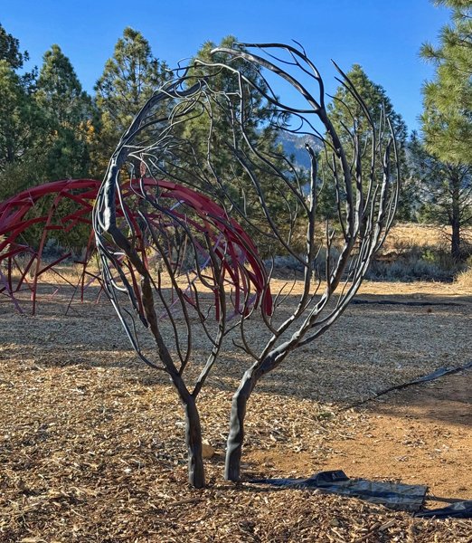 Niv Shaffran Artwork