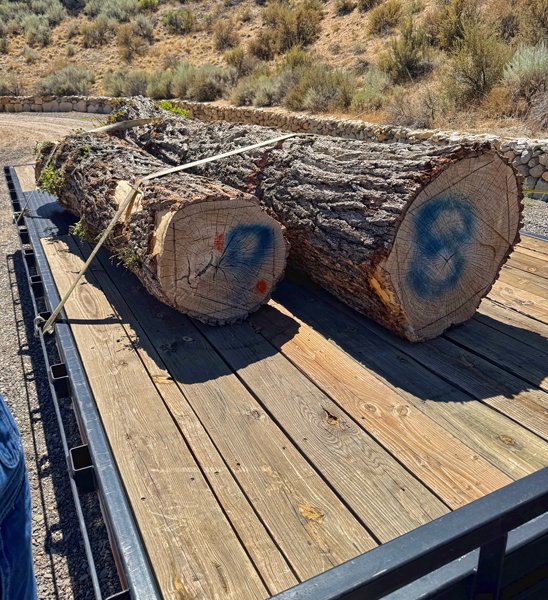 Robert Houser Artist